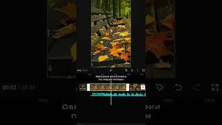 Как сделать красивое видео с фотографиями// Видеомонтаж на телефоне // CapCut обучение