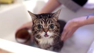 BUB BATHES AGAIN