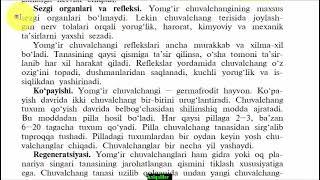 Halqali chuvalchanglar tipi - KITOB O'QISHNI O'RGANAMIZ