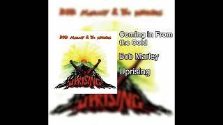 Bob Marley - Coming in From the Cold D#/Eb tuning