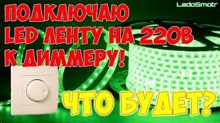 Подключаю LED ленту на 220 вольт к диммеру! Что будет?