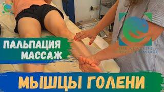 МЫШЦЫ ГОЛЕНИ. Пальпация. Анатомия. Массаж. Татьяна Яковлева