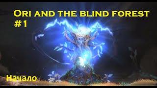 Ori and the Blind Forest #1 Начало, Первые силы