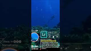 waktu aku ikut nyelam,,##videoshort #viral #fishing @DutaEkonomi