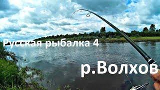 Русская рыбалка 4-река Волхов.Разбираемся с изменениями после обновления