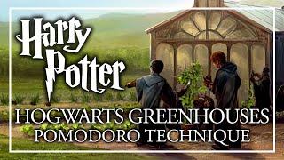 STUDY IN THE HOGWARTS GREENHOUSES - Pomodoro Session - Harry Potter ASMR