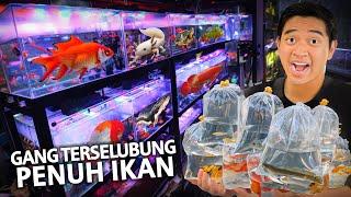 GANG TERSELUBUNG ISINYA TERNAYATA PASAR IKAN HIAS! SIDAK PASAR IKAN HIAS SEMARANG!