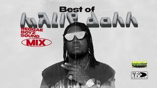 Best of Malie Donn | Dancehall Mix | Reggae Boyz Sound