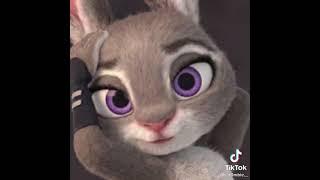 Judy Hopps from Zootopia.