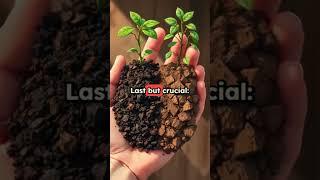 "Common Plant Care Mistakes You Should Avoid | Beginner Gardening Tips #plants #shorts  #gardening"