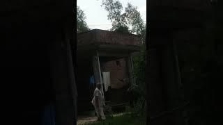 hai ahiran dudhava wetting for end short video