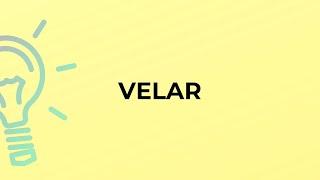 What is the meaning of the word VELAR?