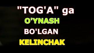 "TOG'A" ga O'YNASH BO'LGAN KELINCHAK