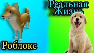 РОБЛОКС против РЕАЛЬНОЙ ЖИЗНИ 9 / ROBLOX vs Real life / Roblox против реальная жизнь смотреть