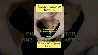 Quran and Science (Part-12) | Коран и наука (часть-12) #islam #коран #ислам #шортс #shorts