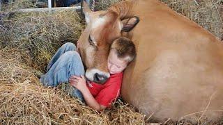 Animal love can heals us from inside ️ Best Animal Show Love Moments