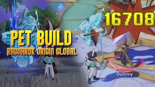 THE BEST PET BUILD GUIDE! | RAGNAROK ORIGIN GLOBAL