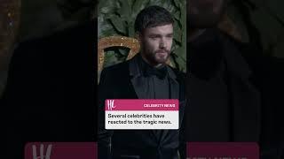 Hollywood is grieving the loss of Liam Payne.