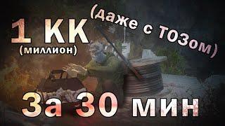 (OLD) Фарм на Леших.Окрестности (Stalker Online/Stay Out)