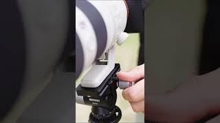 The NEEWER GM39 gimbal tripod head is you key to dynamic bird- watching photos!