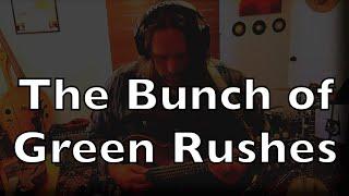 The Bunch of Green Rushes | traditional Irish reel | solo mandola