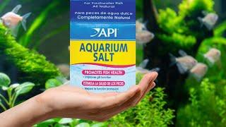 Got Sick Fish? Use Aquarium Salt: Beginners Guide
