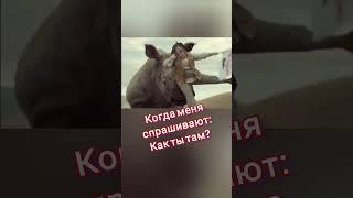 Как ты там?