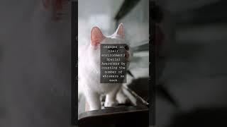 Whisker Wonders Unraveling the Fascinating World of Feline Facial FeaturesAs we gaze...