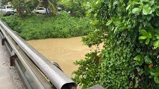 WOW  CROCODILE  PAN WASH DOWN FROM THE HILLS OMG  (MUST WATCH‼️) TROPICAL STORM TAKING OVER!!