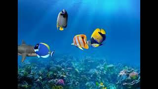 Animación peces