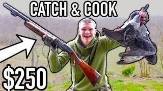 CHEAPEST SHOTGUN I COULD FIND! (Catch Clean Cook)