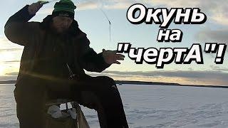 ПашАсУралмашА:- Окунь на "чертА"!