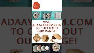 Adaaya Palm leaf tableware-  India, offers eco friendly option to plastic disposables.