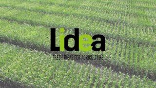 Lidea Seeds в РФ