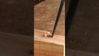 The Evolution of Carpentry: Blending Timeless Craft with Modern Techniques