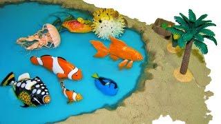 8 Sea Animals Safari Incredible Creatures Marine Animal Toys