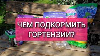 Чем подкормить гортензии: удобрения для гортензий, нормы и сроки внесения