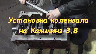 Установка коленвала Камминз Cummins 3.8 | Затяжка нижников Камминз Cummins 3.8 |Ремонт двигателя