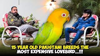 15 year old Pakistani Breeds The Most Expensive Lovebird…..!