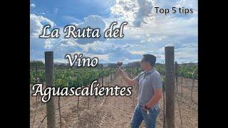 La Ruta del Vino Aguascalientes | Tips para visitarla | Todo sobre vino