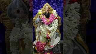 muruga #murugan #song #devotionalsong #murugar #love #hindusong #murugansong