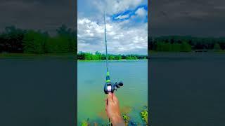 How to CAST a BAITCASTER! (The Best CAST Ever!)  #shorts