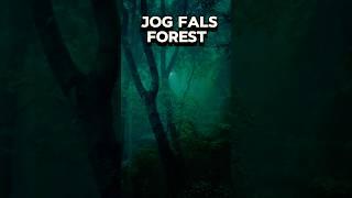 Jog falls forest  #sciencefacts #facts #shorts