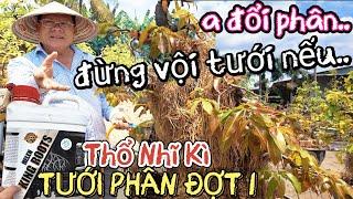 Đừng vội đi phân thùng HVP ÚT Đực đổi phân mới Thổ Nhĩ Kỳ kết hợp tưới đợt 1/2025 cây nào k nên tưới