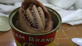 Sotong Biggest squid in can Malaysian Ayam brand