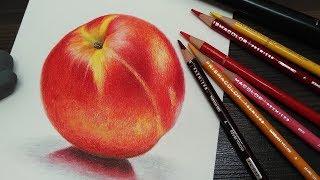 TIMELAPSE   How to draw nectarine with colored pencils. Fruit drawing
