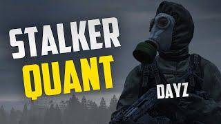 Обзор на сервер Stalker QUANT | PVE, Мутанты и Квесты  | Обзоры серверов Dayz