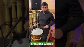 Магомед Шамов