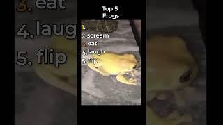 the funniest frog clips in the world