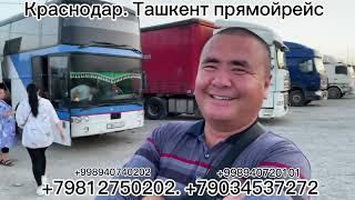 Краснодар Ташкент автобус прямой рейс#Krasnodar Tashkent avtobus#￼ Краснодар Узбекистан автобус ￼￼